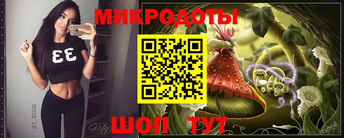 Псилоцибиновые грибы Psilocybe Лабинск